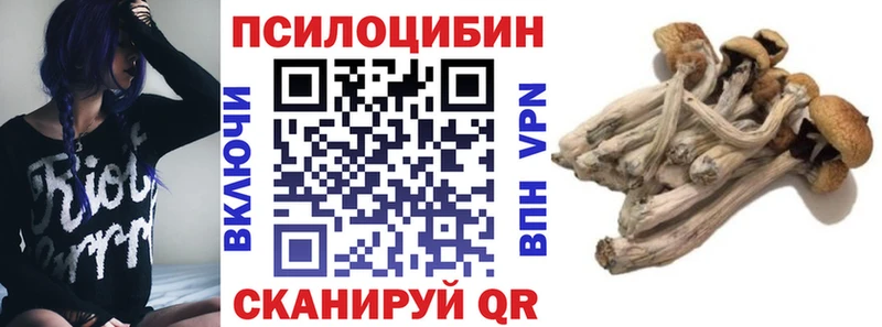 Псилоцибиновые грибы Cubensis Ува