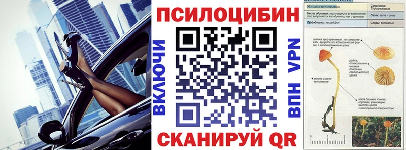 Галлюциногенные грибы Psilocybe  Купить  Ува 